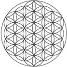 flower of life symbol
